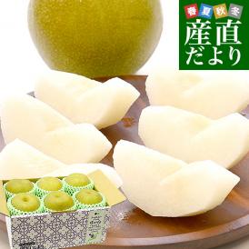 栃木県産 「梨」 品種：幸水 1.8キロ以上 (6玉) 送料無料 なし ナシ 幸水梨 こうすい