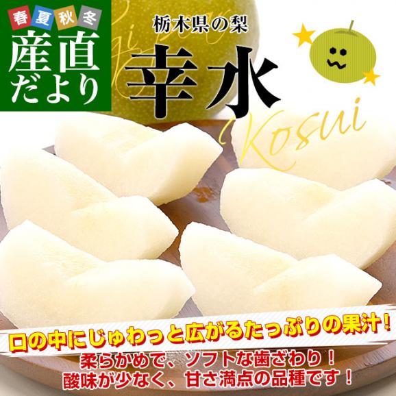栃木県産 「梨」 品種：幸水 1.8キロ以上 (6玉) 送料無料 なし ナシ 幸水梨 こうすい02