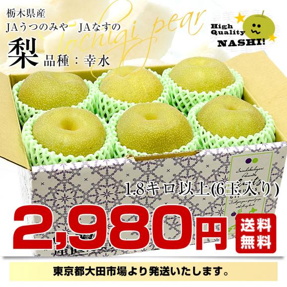 栃木県産 「梨」 品種：幸水 1.8キロ以上 (6玉) 送料無料 なし ナシ 幸水梨 こうすい03