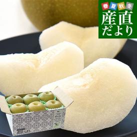 栃木県産 「梨」 品種：豊水 約2キロ (5玉から6玉) 送料無料 なし ナシ 豊水梨 ほうすい
