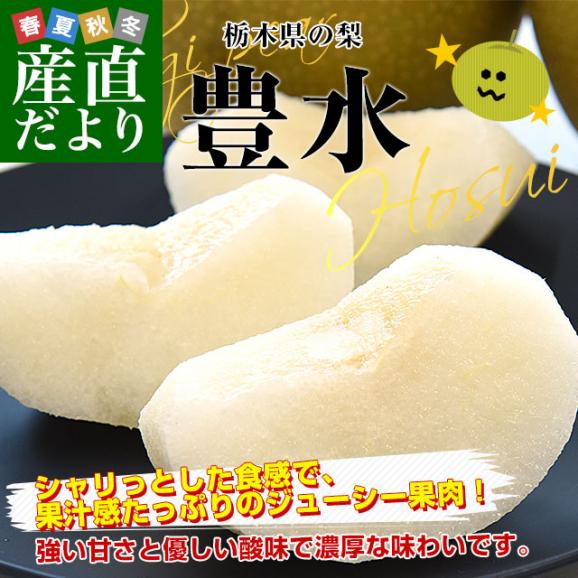 栃木県産 「梨」 品種：豊水 約2キロ (5玉から6玉) 送料無料 なし ナシ 豊水梨 ほうすい02