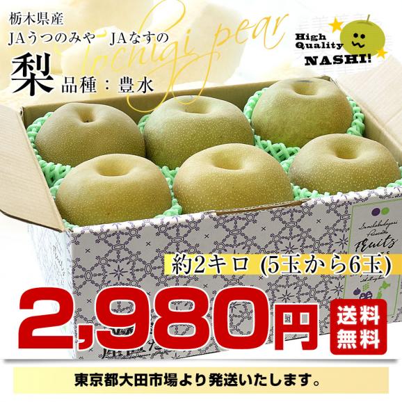 栃木県産 「梨」 品種：豊水 約2キロ (5玉から6玉) 送料無料 なし ナシ 豊水梨 ほうすい03