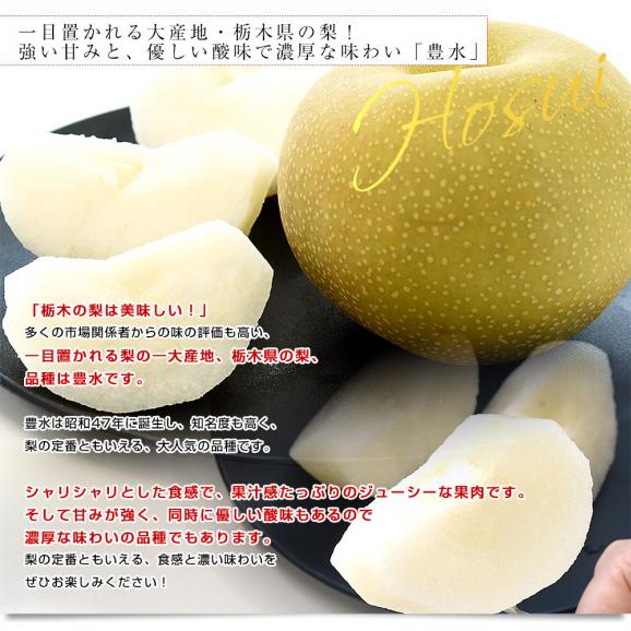 栃木県産 「梨」 品種：豊水 約2キロ (5玉から6玉) 送料無料 なし ナシ 豊水梨 ほうすい04