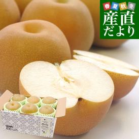 栃木県産 「梨」 品種：あきづき 約2キロ (5玉から6玉) 送料無料 なし ナシ あきづき梨 秋月