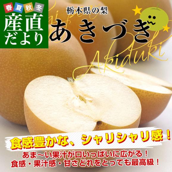 栃木県産 「梨」 品種：あきづき 約2キロ (5玉から6玉) 送料無料 なし ナシ あきづき梨 秋月02