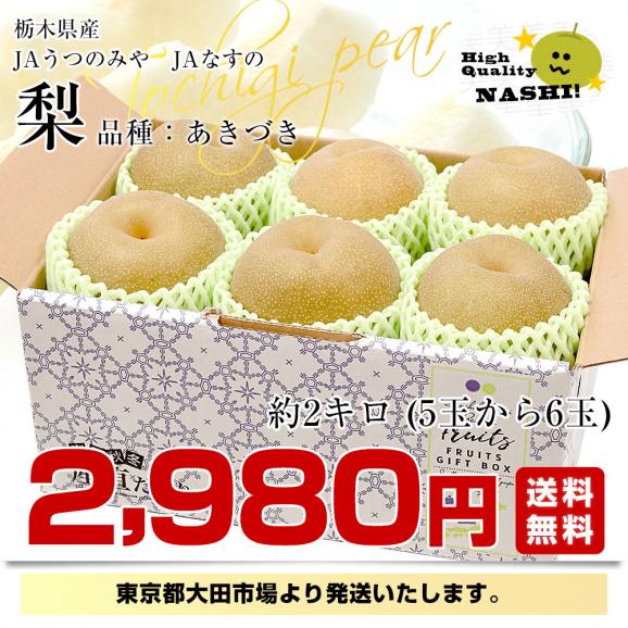 栃木県産 「梨」 品種：あきづき 約2キロ (5玉から6玉) 送料無料 なし ナシ あきづき梨 秋月03