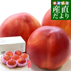 山梨県産 JAフルーツ山梨 塩山支所 スイートネクタリン(品種：黎明・黎王) 秀品 Lサイズから2Lサイズ 約1.5キロ（7玉から8玉）送料無料 桃 もも モモ 黄肉系
