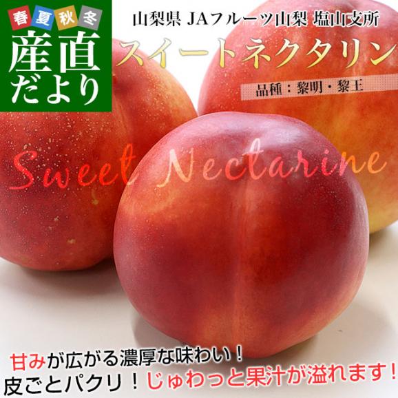 山梨県産 JAフルーツ山梨 塩山支所 スイートネクタリン(品種：黎明・黎王) 秀品 Lサイズから2Lサイズ 約1.5キロ（7玉から8玉）送料無料 桃 もも モモ 黄肉系02