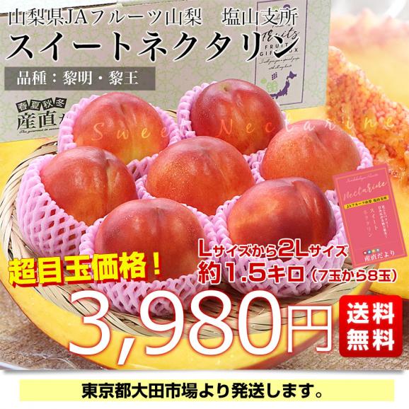 山梨県産 JAフルーツ山梨 塩山支所 スイートネクタリン(品種：黎明・黎王) 秀品 Lサイズから2Lサイズ 約1.5キロ（7玉から8玉）送料無料 桃 もも モモ 黄肉系03