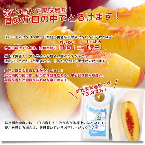 山梨県産 JAフルーツ山梨 塩山支所 スイートネクタリン(品種：黎明・黎王) 秀品 Lサイズから2Lサイズ 約1.5キロ（7玉から8玉）送料無料 桃 もも モモ 黄肉系05