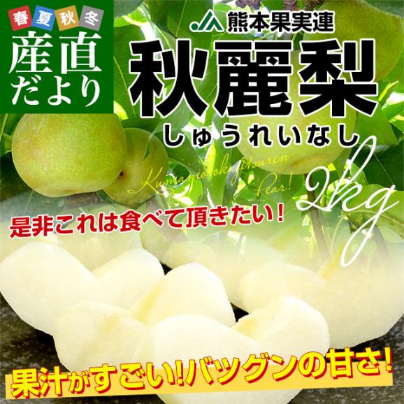 熊本県産 JA熊本果実連 秋麗梨 （しゅうれいなし） 約2キロ（5玉から6玉） ナシ なし 送料無料02