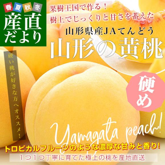 山形県から産地直送 JAてんどう 山形の黄桃 晩成品種 (品種：黄貴妃・きららのきわみ他) 秀品 約3キロ (8玉から12玉) 送料無料 桃 モモ もも02