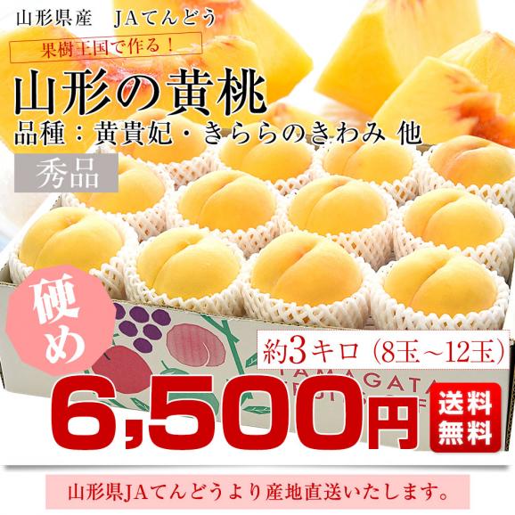 山形県から産地直送 JAてんどう 山形の黄桃 晩成品種 (品種：黄貴妃・きららのきわみ他) 秀品 約3キロ (8玉から12玉) 送料無料 桃 モモ もも03