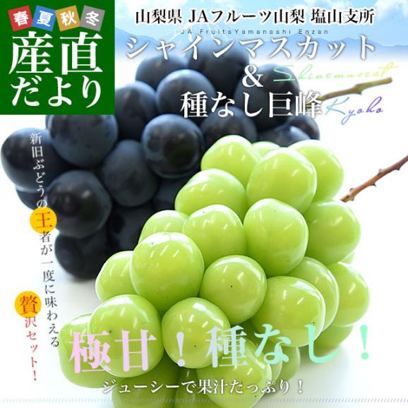 山梨県産 JAフルーツ山梨 塩山支所 シャインマスカット＆種なし巨峰 2Lサイズ 各1房 合計900g前後 送料無料 ぶどう 葡萄 ブドウ ぶどうセット 詰め合わせ 食べ比べ02