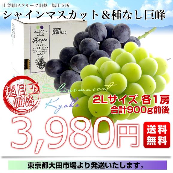 山梨県産 JAフルーツ山梨 塩山支所 シャインマスカット＆種なし巨峰 2Lサイズ 各1房 合計900g前後 送料無料 ぶどう 葡萄 ブドウ ぶどうセット 詰め合わせ 食べ比べ03