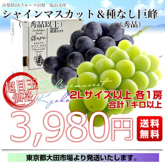 山梨県産 JAフルーツ山梨 塩山支所 シャインマスカット(○秀品以上)&種なし巨峰(秀品) 2Lサイズ以上 各1房 合計1キロ以上 送料無料 ぶどう 葡萄 ブドウ ぶどうセット 03