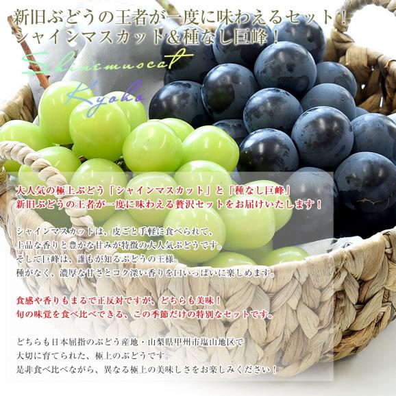 山梨県産 JAフルーツ山梨 塩山支所 シャインマスカット＆種なし巨峰 2Lサイズ 各1房 合計900g前後 送料無料 ぶどう 葡萄 ブドウ ぶどうセット 詰め合わせ 食べ比べ04