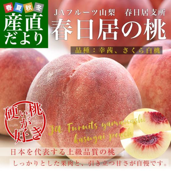 山梨県産 JAフルーツ山梨 春日居支所 春日居の桃 秀品以上 (品種：幸茜、さくら白桃)  1.8キロ以上(5玉から6玉) 送料無料 もも モモ ピーチ02