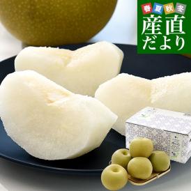 千葉県産 白井＆船橋の豊水梨 優品以上 約2キロ（5玉から6玉）送料無料 梨 なし ナシ 豊水 ほうすい