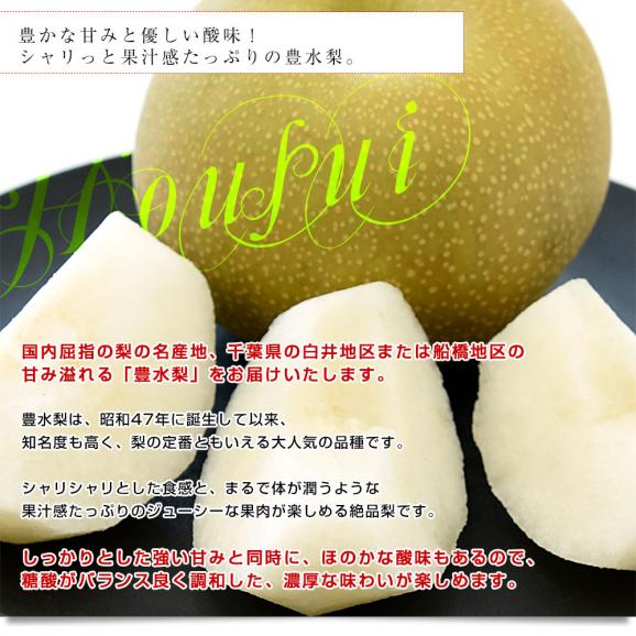 千葉県産 白井＆船橋の豊水梨 優品以上 約2キロ（5玉から6玉）送料無料 梨 なし ナシ 豊水 ほうすい04