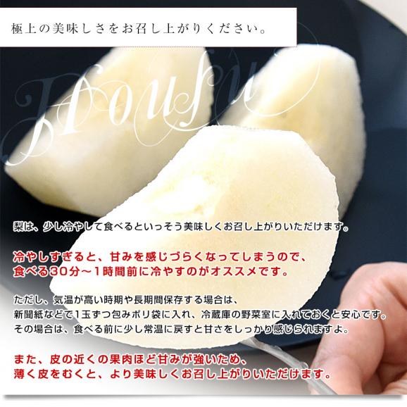 千葉県産 白井＆船橋の豊水梨 優品以上 約2キロ（5玉から6玉）送料無料 梨 なし ナシ 豊水 ほうすい06