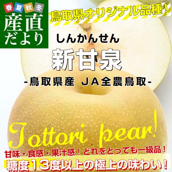鳥取県産 JA全農鳥取 新甘泉梨 約1.8キロ（5玉から6玉入り）送料無料 しんかんせんなし 梨 ナシ02