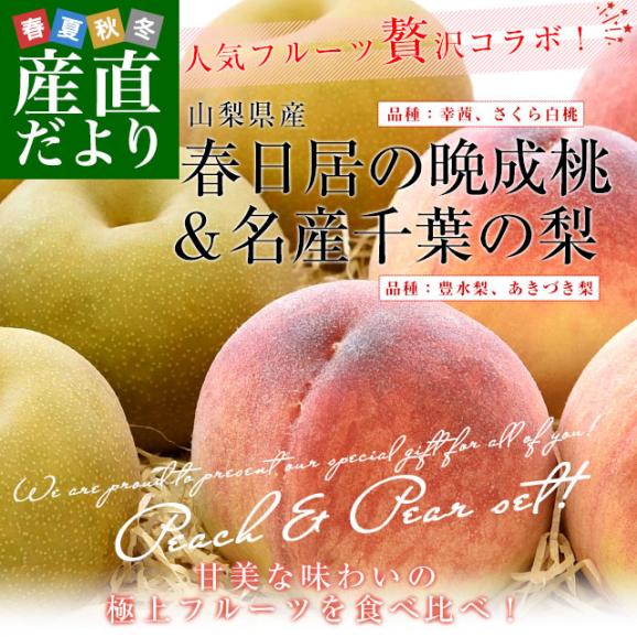 山梨・春日居の晩成桃 3玉(約900g)＆千葉のジューシー梨 3玉(約1キロ)セット 送料無料 モモ ナシ なし フルーツセット02