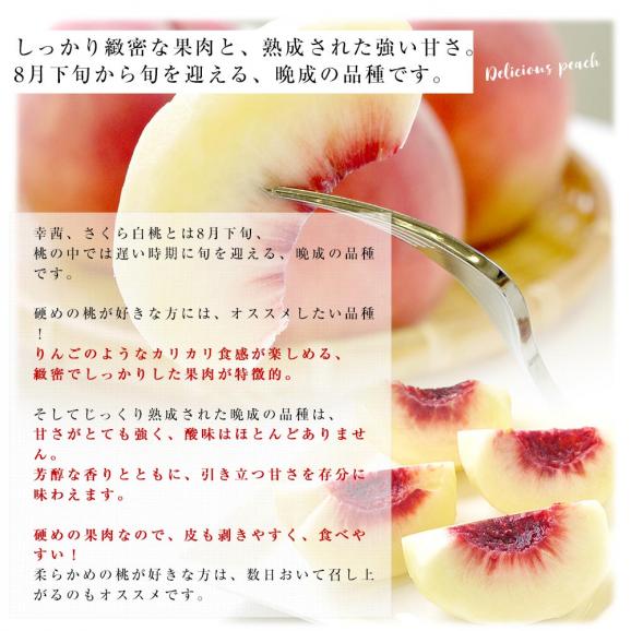 山梨・春日居の晩成桃 3玉(約900g)＆千葉のジューシー梨 3玉(約1キロ)セット 送料無料 モモ ナシ なし フルーツセット06