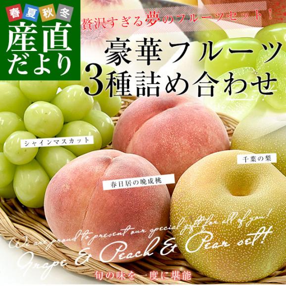 高級フルーツ3種詰め合わせ「春日居の晩成桃＆シャインマスカット＆千葉の梨」 送料無料 フルーツセット フルーツギフト 桃 ぶどう なし02