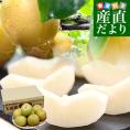 熊本県から産地直送 玉東町 坂村梨園 玉東梨 あきづき 秀品 約3キロ（8玉から10玉）送料無料 なし ナシ 秋月