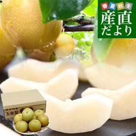 溢れる甘い果汁！梨一筋のプロが作り上げる、熊本県玉東町の梨！