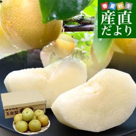 熊本県から産地直送 玉東町 坂村梨園 玉東梨 豊水またはあきづき 秀品 約3キロ（8玉から10玉）送料無料 なし ナシ 豊水 ほうすい 秋月