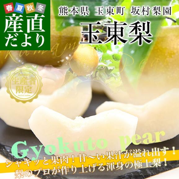 熊本県から産地直送 玉東町 坂村梨園 玉東梨 あきづき 秀品 約3キロ（8玉から10玉）送料無料 なし ナシ 秋月02