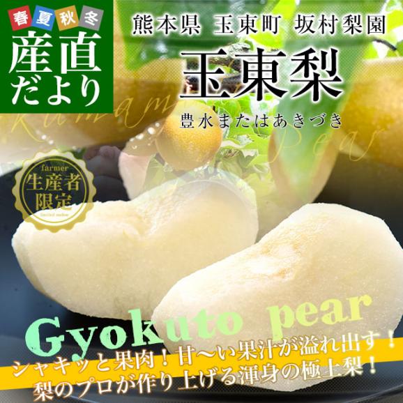 熊本県から産地直送 玉東町 坂村梨園 玉東梨 豊水またはあきづき 秀品 約3キロ（8玉から10玉）送料無料 なし ナシ 豊水 ほうすい 秋月02