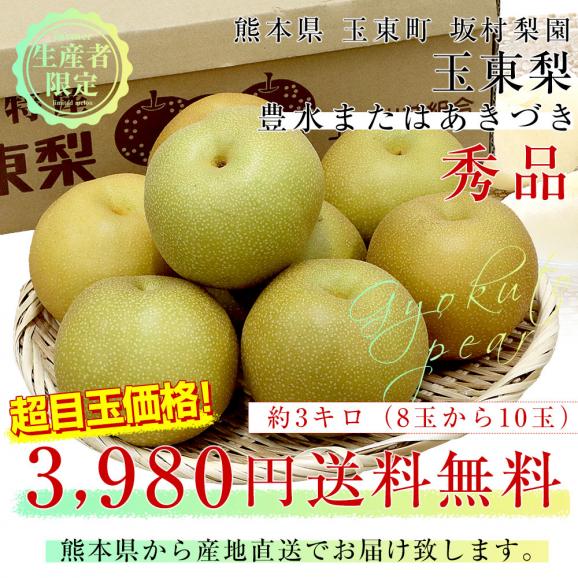 熊本県から産地直送 玉東町 坂村梨園 玉東梨 豊水またはあきづき 秀品 約3キロ（8玉から10玉）送料無料 なし ナシ 豊水 ほうすい 秋月03