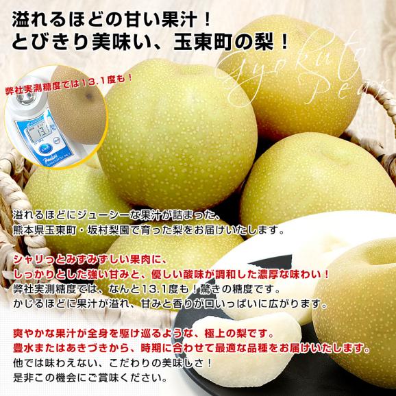 熊本県から産地直送 玉東町 坂村梨園 玉東梨 豊水またはあきづき 秀品 約3キロ（8玉から10玉）送料無料 なし ナシ 豊水 ほうすい 秋月04