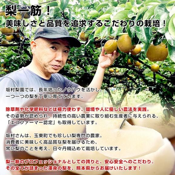 熊本県から産地直送 玉東町 坂村梨園 玉東梨 豊水またはあきづき 秀品 約3キロ（8玉から10玉）送料無料 なし ナシ 豊水 ほうすい 秋月06