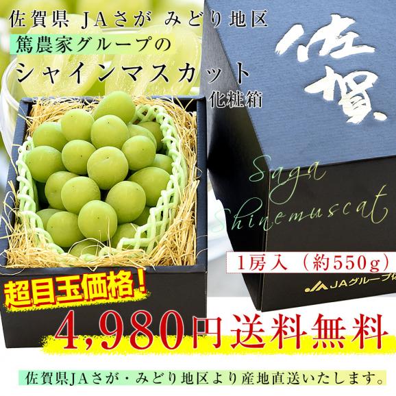 佐賀県より産地直送 JAさが みどり地区 篤農家グループのシャインマスカット 1房 約550g 化粧箱 送料無料  from九州 ぶどう 葡萄 マスカット03