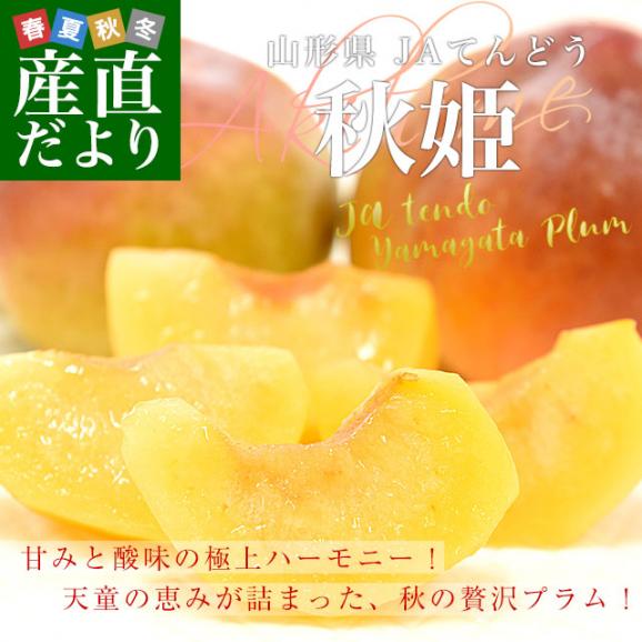 山形県から産地直送 JAてんどう 秋姫 秀品 約1.2キロ (8玉から12玉) 送料無料 あきひめ プラム ぷらむ すもも スモモ02