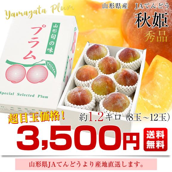 山形県から産地直送 JAてんどう 秋姫 秀品 約1.2キロ (8玉から12玉) 送料無料 あきひめ プラム ぷらむ すもも スモモ03