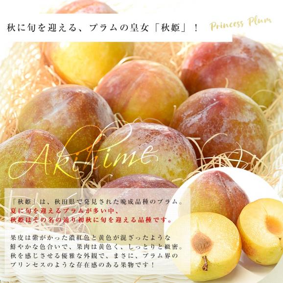 山形県から産地直送 JAてんどう 秋姫 秀品 約1.2キロ (8玉から12玉) 送料無料 あきひめ プラム ぷらむ すもも スモモ04