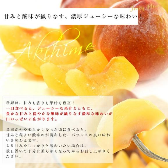 山形県から産地直送 JAてんどう 秋姫 秀品 約1.2キロ (8玉から12玉) 送料無料 あきひめ プラム ぷらむ すもも スモモ05