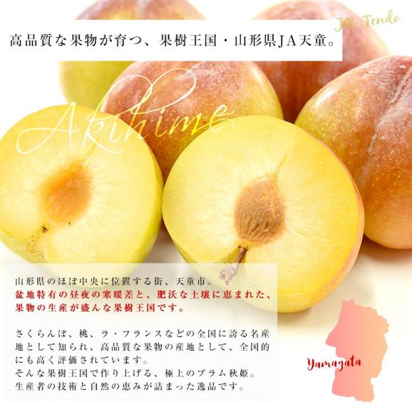山形県から産地直送 JAてんどう 秋姫 秀品 約1.2キロ (8玉から12玉) 送料無料 あきひめ プラム ぷらむ すもも スモモ06