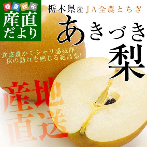 栃木県より産地直送 JA全農とちぎ あきづき梨 優品以上 約5キロ (8玉から16玉) なし ナシ　送料無料02