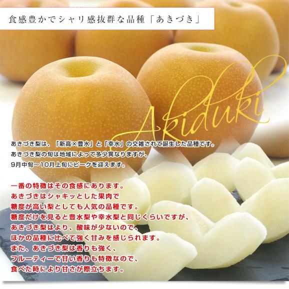 栃木県より産地直送 JA全農とちぎ あきづき梨 優品以上 約5キロ (8玉から16玉) なし ナシ　送料無料04