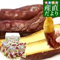 茨城県 JAなめがたしおさい 冷凍焼き芋 紅優甘（べにゆうか） 送料無料 さつまいも やきいも ※クール冷凍便