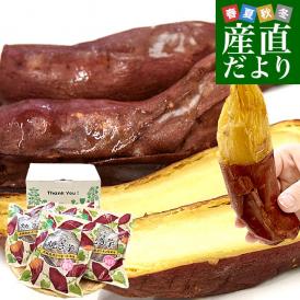 茨城県 JAなめがたしおさい 冷凍焼き芋 紅優甘（べにゆうか） 送料無料 さつまいも やきいも ※クール冷凍便