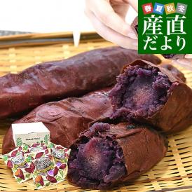 茨城県 JAなめがたしおさい 冷凍焼き芋 行方の紫福（なめがたのしふく） 送料無料 さつまいも やきいも ※クール冷凍便
