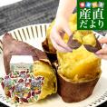 茨城県　JAなめがたしおさい 冷凍焼き芋 紅まさり（べにまさり） 送料無料 さつまいも やきいも  ※クール冷凍便