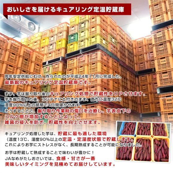 茨城県　JAなめがたしおさい 冷凍焼き芋 紅まさり（べにまさり） 送料無料 さつまいも やきいも  ※クール冷凍便06